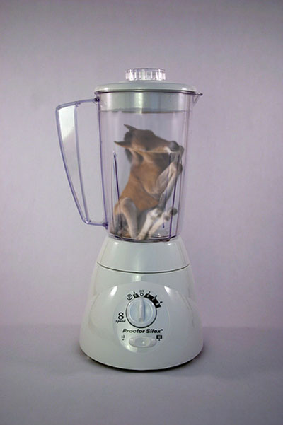 Photoshop Design by SphiPony for DesignCrowd (Community Contests) | Design #9000788