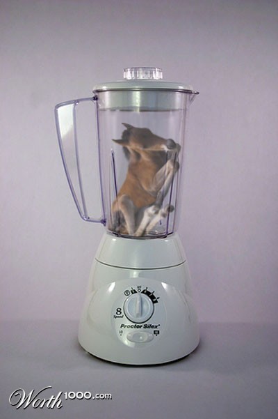 Photoshop Design by SphiPony