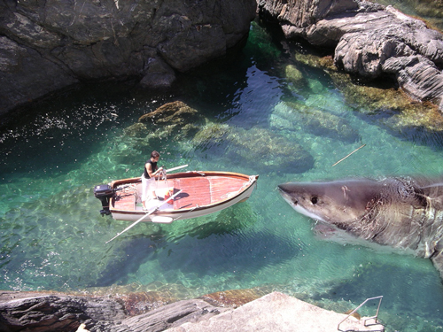 Photoshop Design by mattbyng for DesignCrowd (Community Contests) | Design #9001685