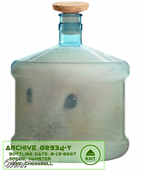 Photoshop Design by Zeidertron