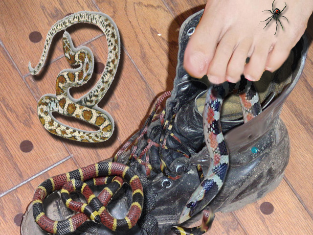 Photoshop Design by loudassasin for DesignCrowd (Community Contests) | Design #9001712