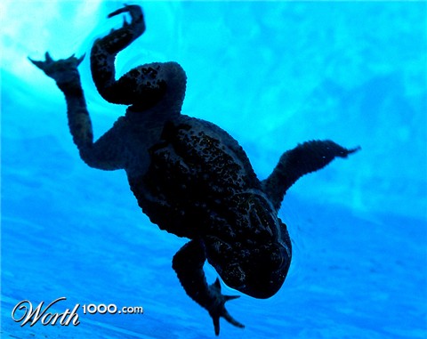 Photography by frevik