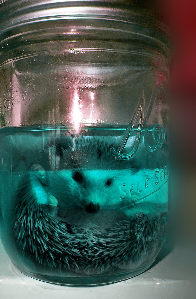 Photoshop Design by mzpresto for DesignCrowd (Community Contests) | Design #9000824