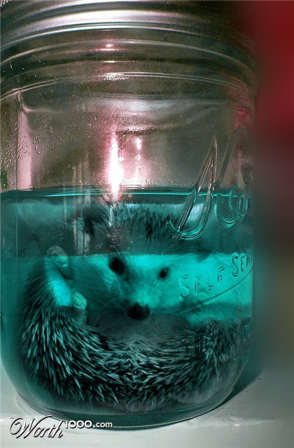 Photoshop Design by mzpresto