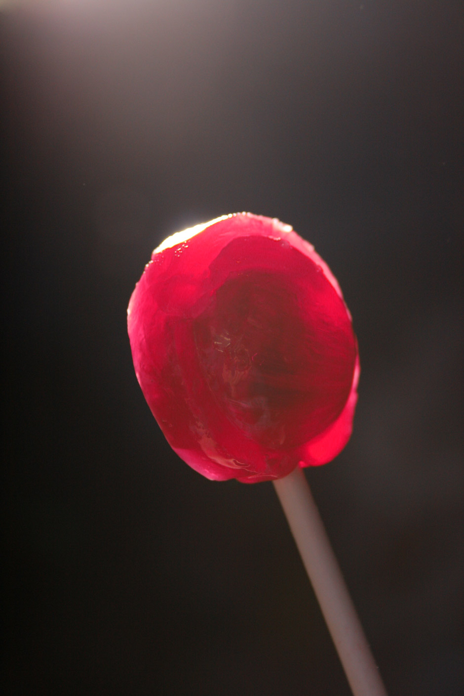 Photography by kellyfan02 for DesignCrowd (Community Contests) | Design #9008748