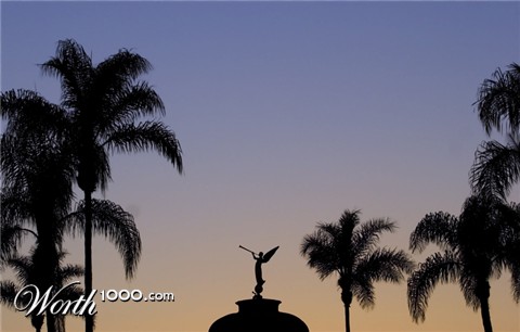 Photography by isaidwhat