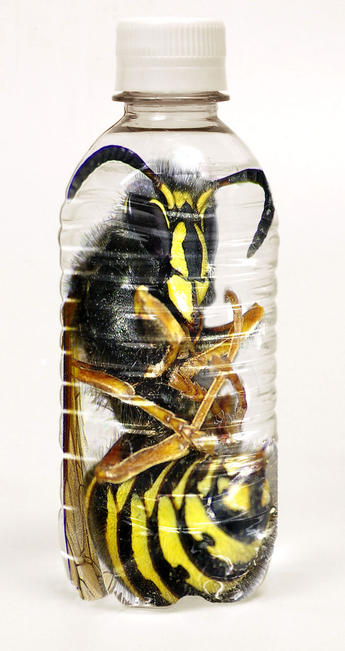 Photoshop Design by bluebook for DesignCrowd (Community Contests) | Design #9000829