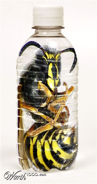 Photoshop Design by bluebook