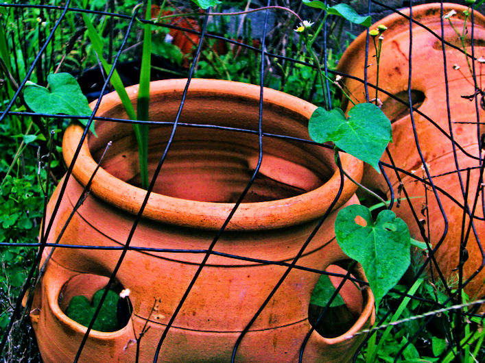 Fotografie von 01sirk für DesignCrowd (Community Contests) | Design #9002275