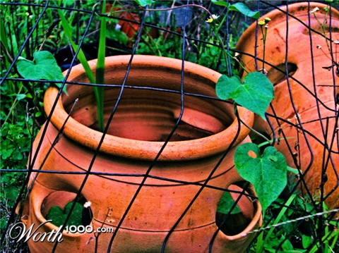Photography by 01sirk