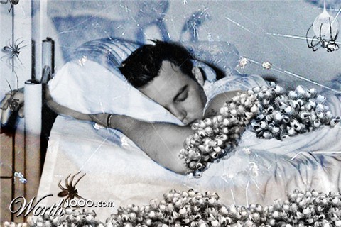Photoshop Design by sumgirl