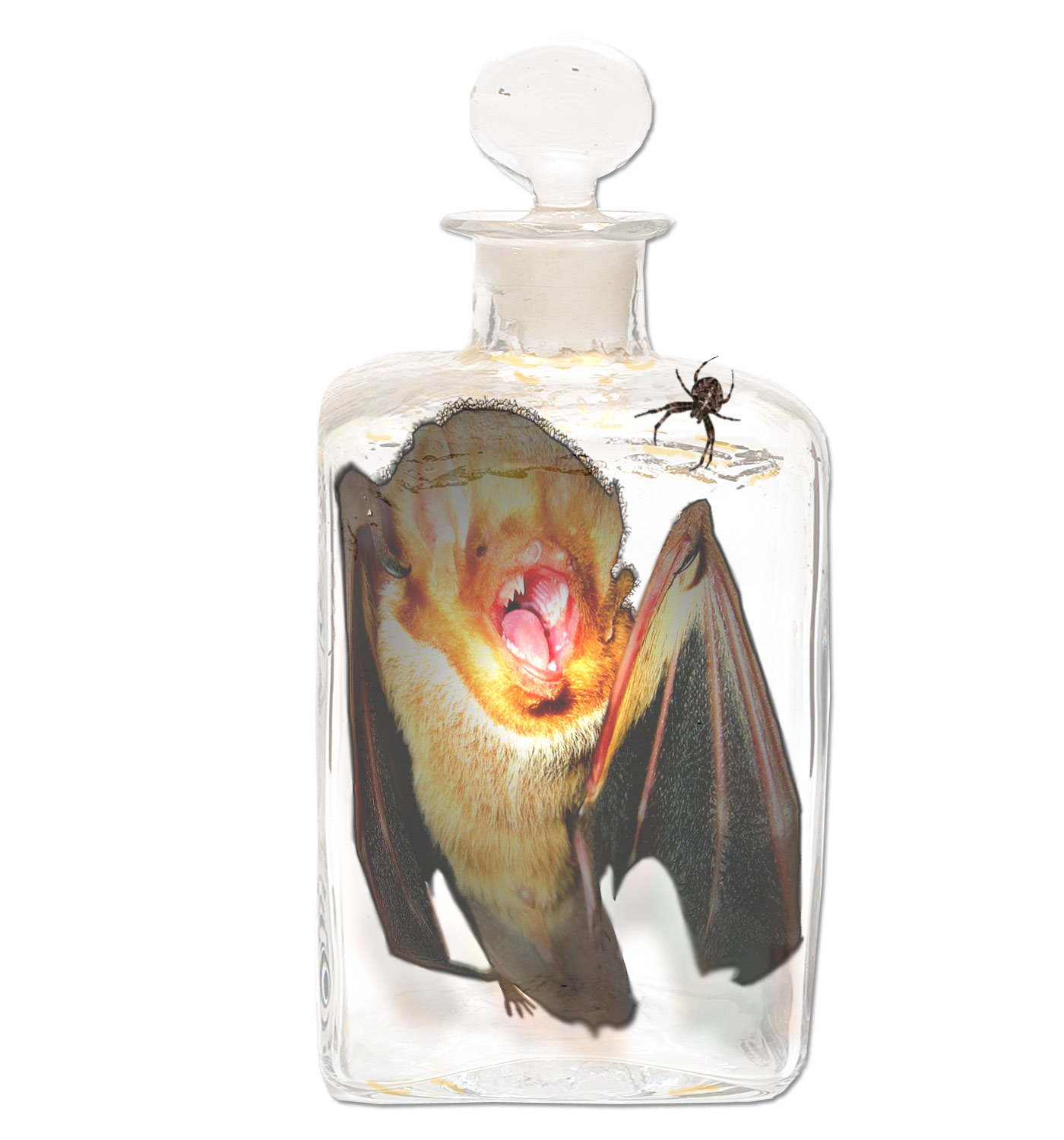 Design Photoshop par Lsgenie pour DesignCrowd (Community Contests) | Design #9000894