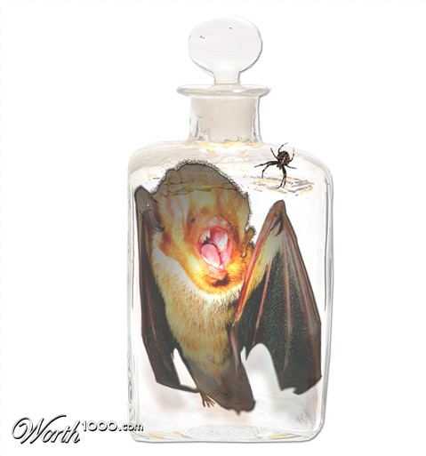 Photoshop Design by Lsgenie