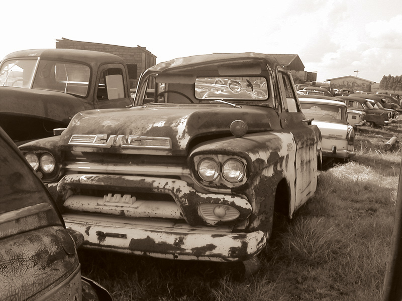 Photography by Jellybellybeans for DesignCrowd (Community Contests) | Design #9002307