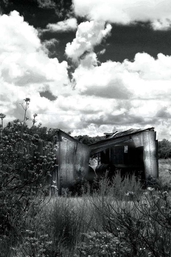 Photographie par Viciousvixievenus pour DesignCrowd (Community Contests) | Design #9002389