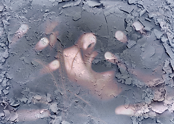 Diseño de Photoshop por sk8rox para DesignCrowd (Community Contests) | Diseño #9001768