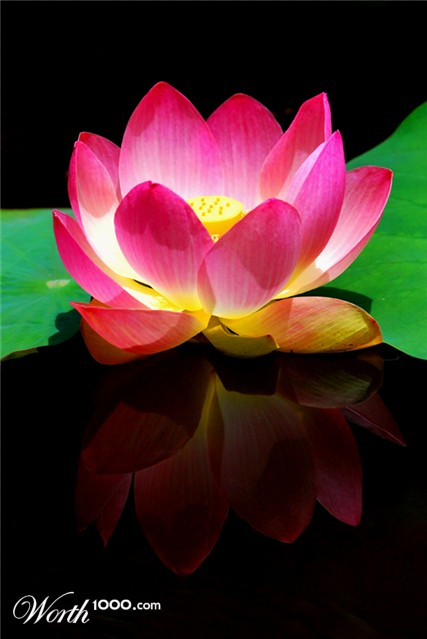 Photography by nowheregirl