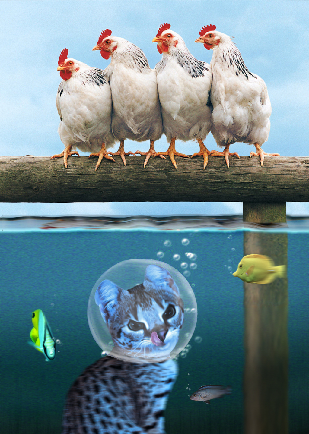 Photoshop Design by Monkeysniffer08 for DesignCrowd (Community Contests) | Design #9002332