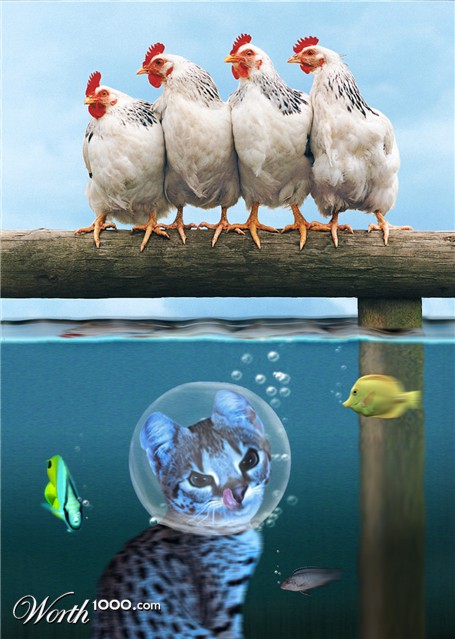 Photoshop Design by Monkeysniffer08