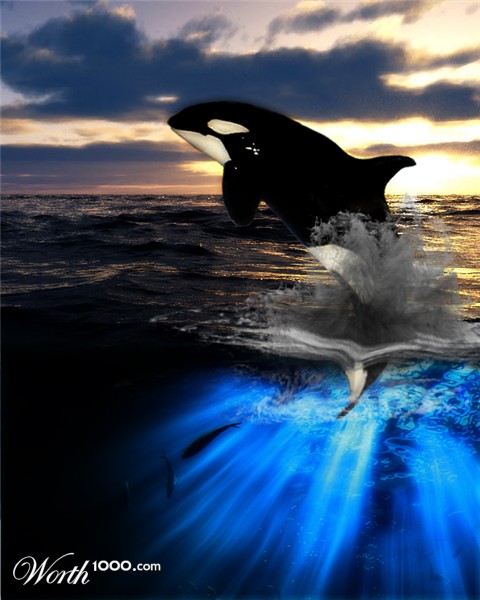 Photoshop Design by Reffers