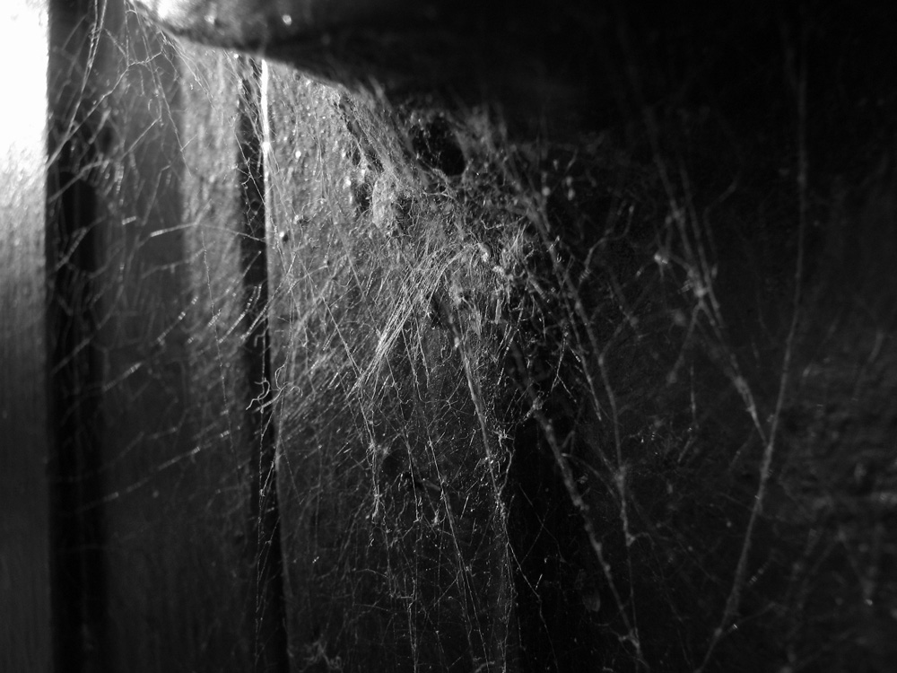 Photography by arquiwhat for DesignCrowd (Community Contests) | Design #9001985