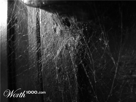 Photography by arquiwhat