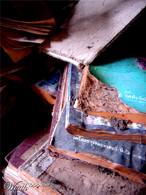 Photography by frogzygirl