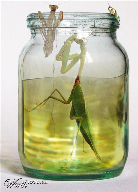 Photoshop Design by lordgilamesh