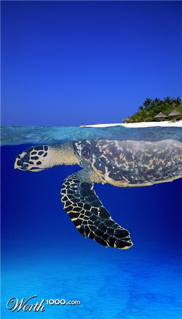 Photoshop Design by CraftLord