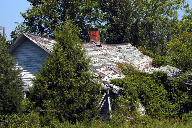 Photography by kcfemme for DesignCrowd (Community Contests) | Design #9001996