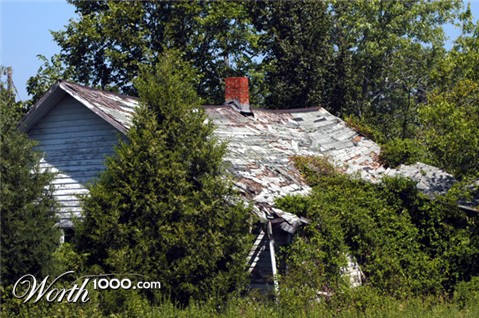 Photography by kcfemme