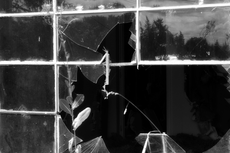Photography by zenit47 for DesignCrowd (Community Contests) | Design #9002287