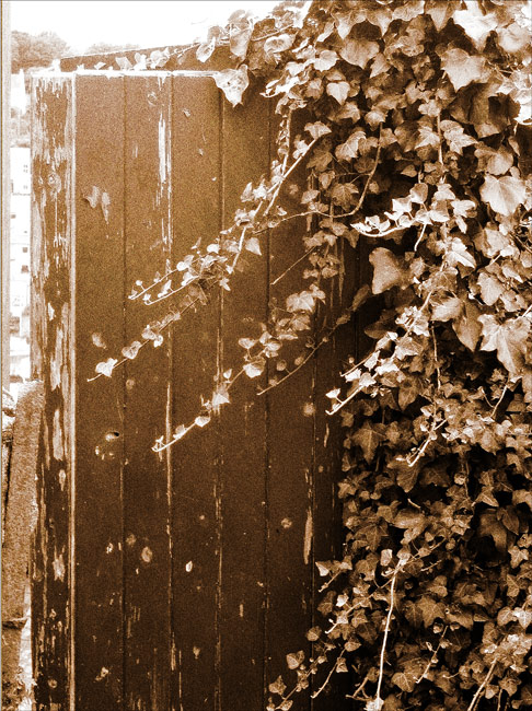 Fotografie von VikiBond für DesignCrowd (Community Contests) | Design #9002372