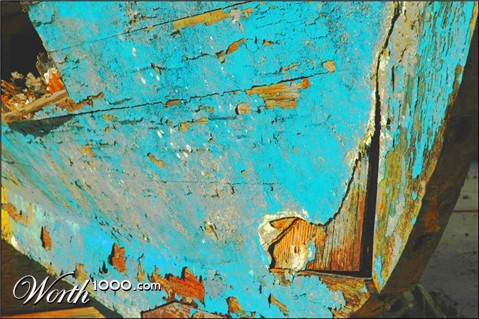 Photography by Larvice