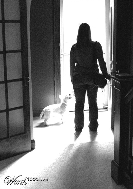 Photography by northman