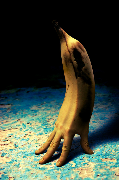 Photography by Gavh for DesignCrowd (Community Contests) | Design #8998629