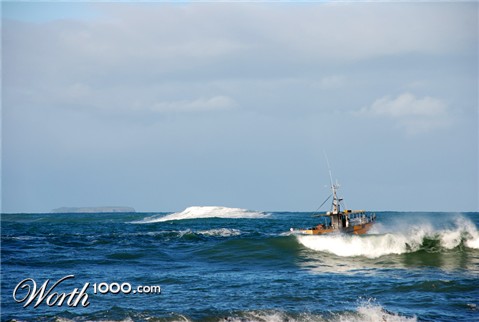 Photography by nzkiwi