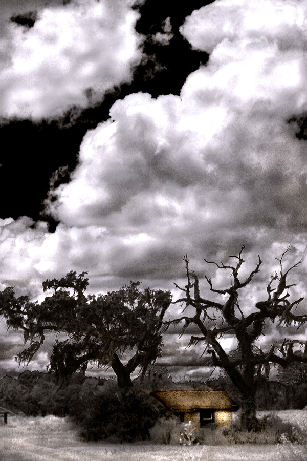 Photographie par Viciousvixievenus pour DesignCrowd (Community Contests) | Design #9006389