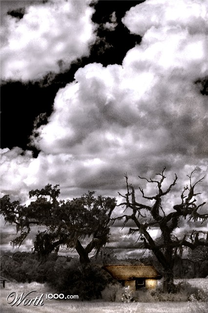 Photography by Viciousvixievenus