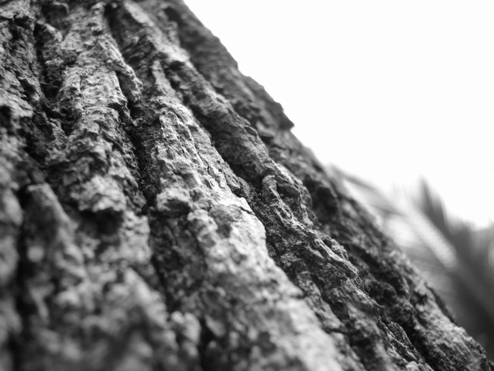 Photographie par arquiwhat pour DesignCrowd (Community Contests) | Design #9005790