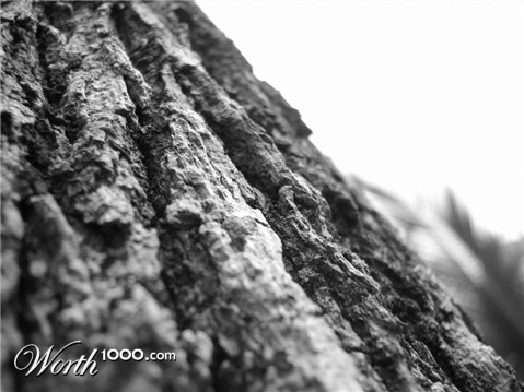 Photography by arquiwhat