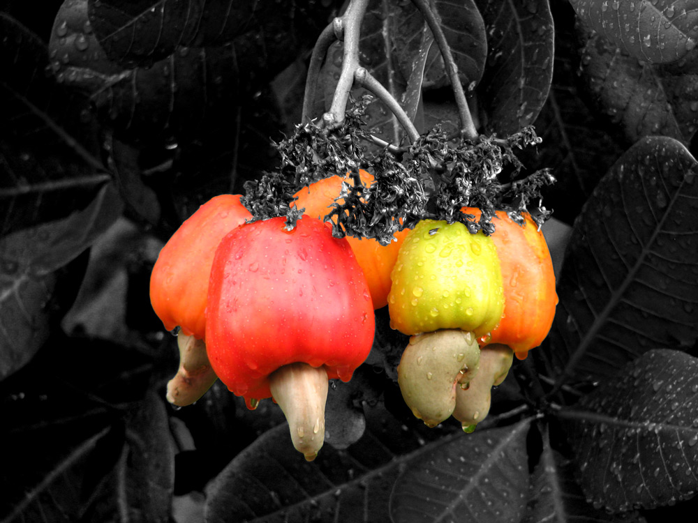 Photography by arquiwhat for DesignCrowd (Community Contests) | Design #9006413