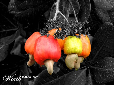 Photography by arquiwhat