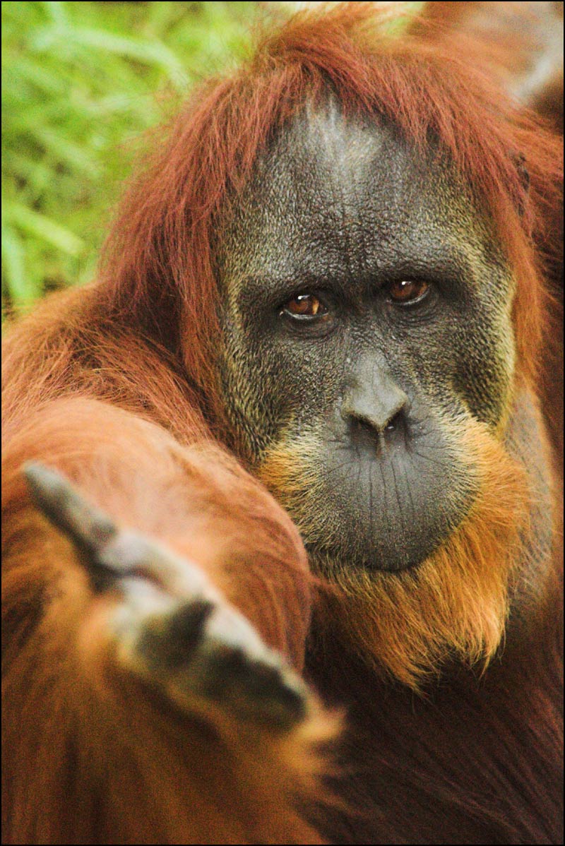 Fotografía por kimbomac para DesignCrowd (Community Contests) | Diseño #9000892