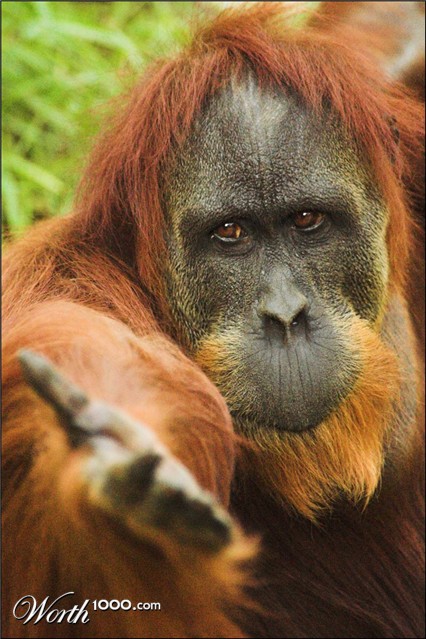 Photography by kimbomac