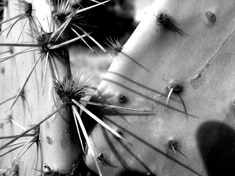 Photography by jetlag4321 for DesignCrowd (Community Contests) | Design #9005805