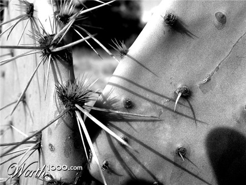 Photography by jetlag4321