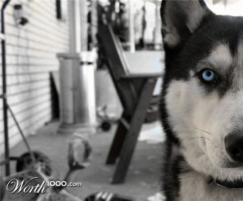 Photography by Destinyzkid