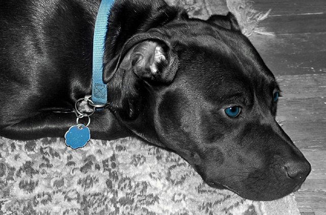 Fotografía por klstover para DesignCrowd (Community Contests) | Diseño #9006409