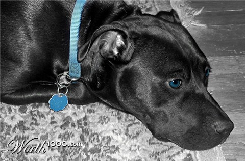 Photography by klstover